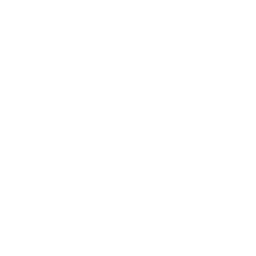VION
