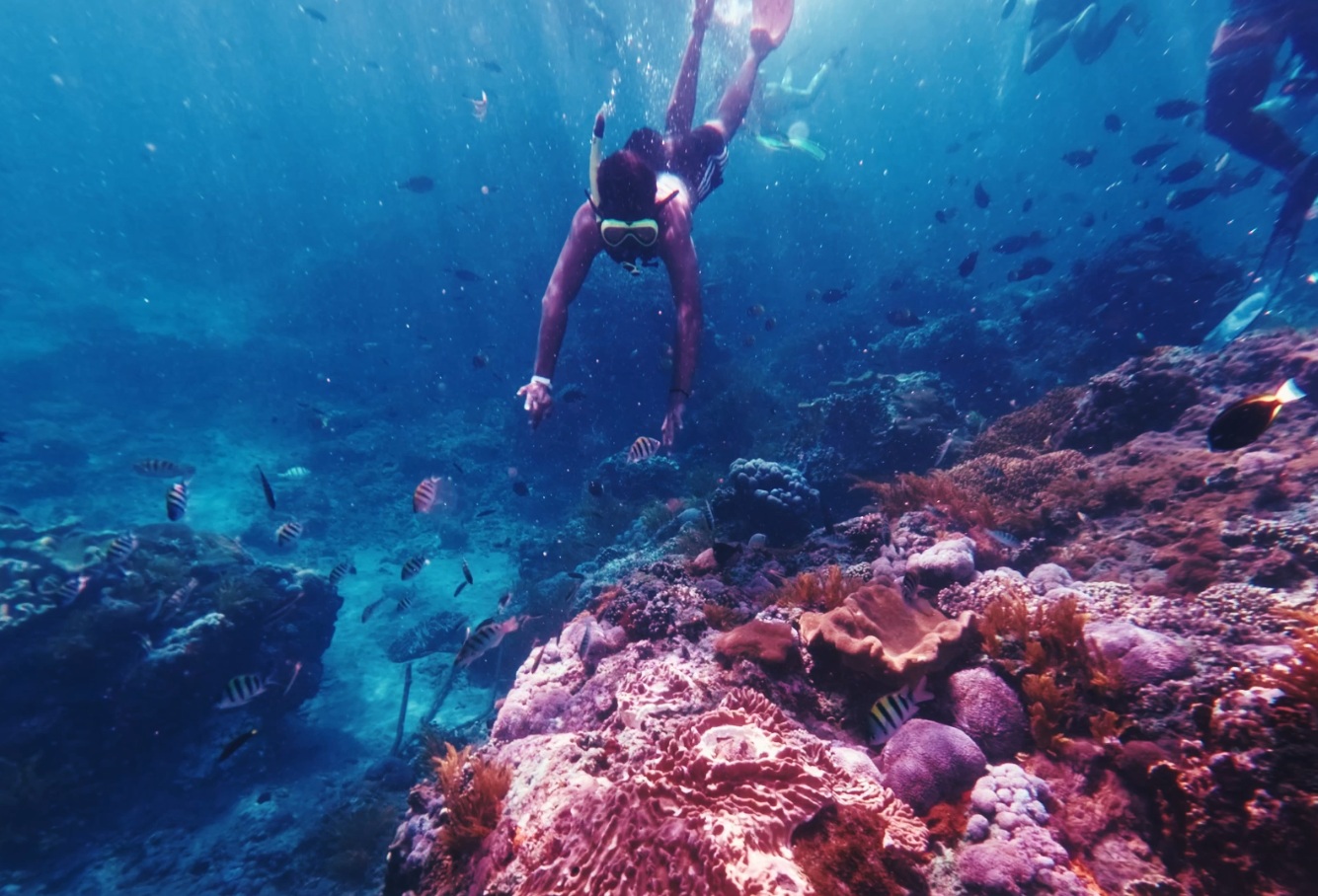 Around the World